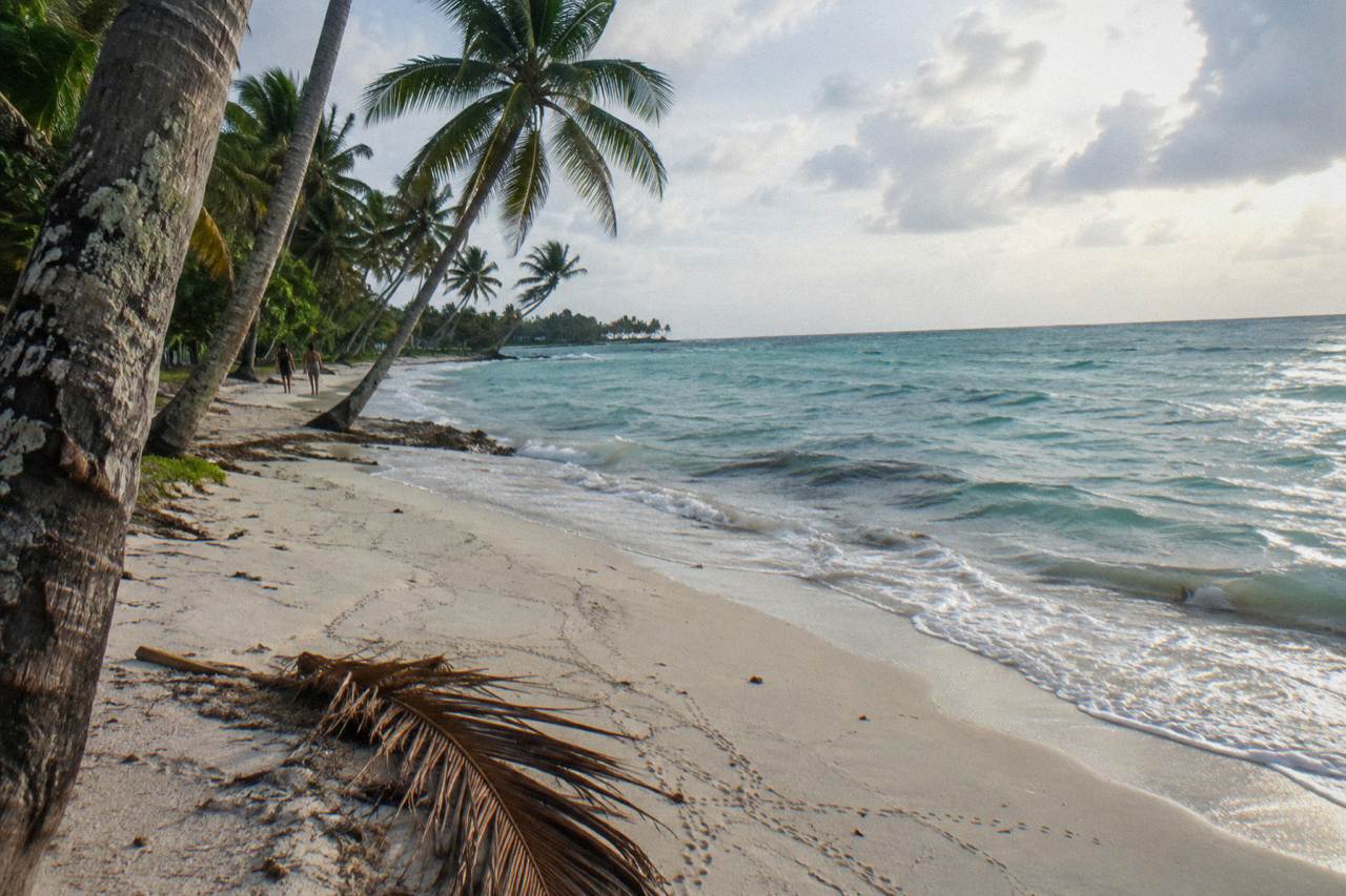 Palm trees leaning over an empty white sand beach beside calm turquoise water