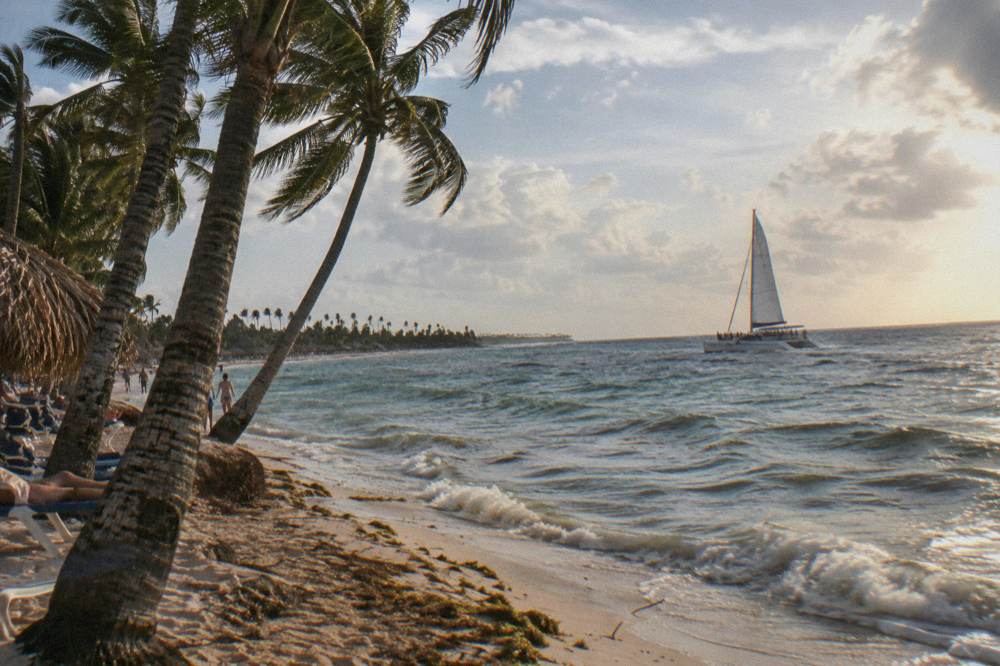 Catamaran with passengers sailing along a palm-lined Caribbean coastline in late afternoon light