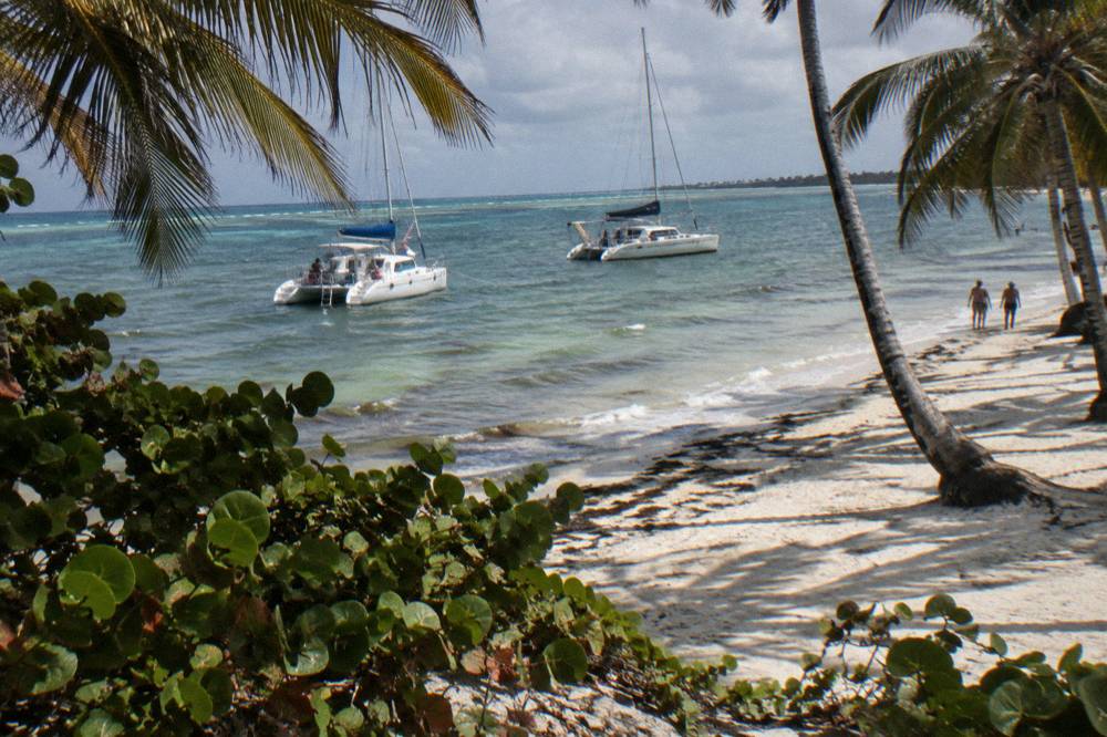 Anchored catamarans in shallow clear water beside a white sand beach lined with palm trees