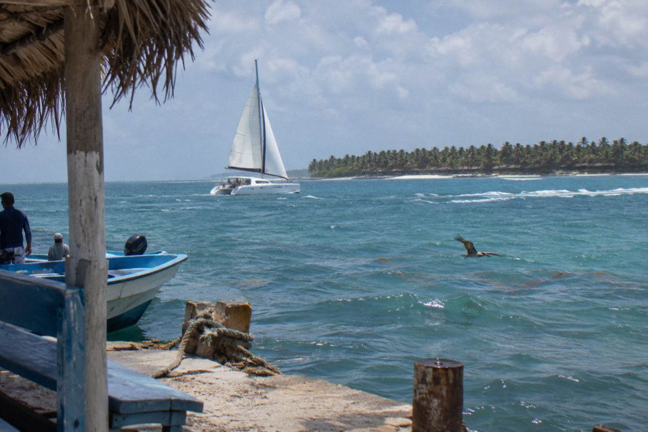 A catamaran sailing on calm turquoise Caribbean water toward a palm-lined island beach
