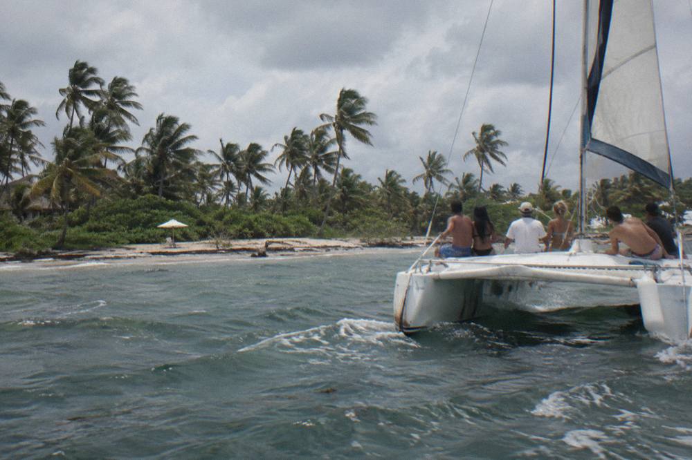 A private catamaran with a small group of guests aboard cruising along a palm-lined coast