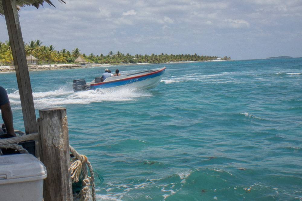 Wooden speedboat crossing clear turquoise water toward a palm-covered island