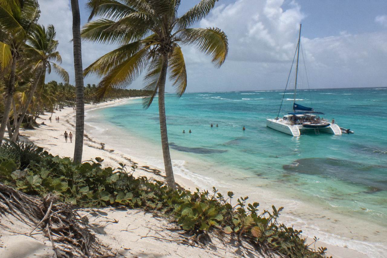 Catamaran anchored off a palm-lined Caribbean island beach with turquoise shallow water