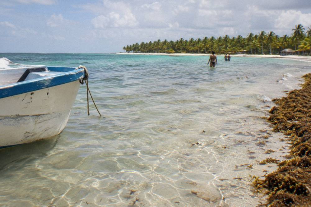 Shallow turquoise water over a sandy bottom with distant palm trees