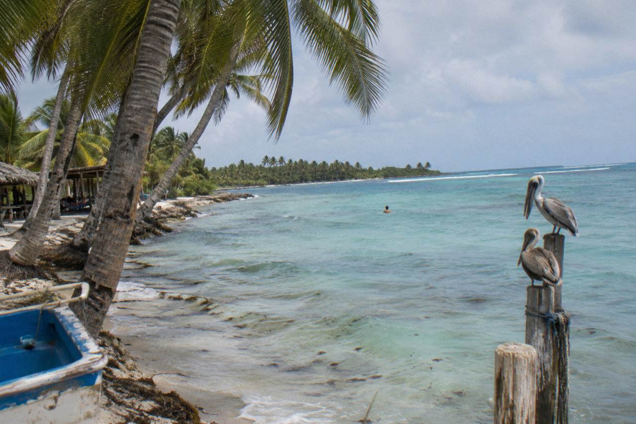 Turquoise shallow water and palm trees along a Caribbean island beach