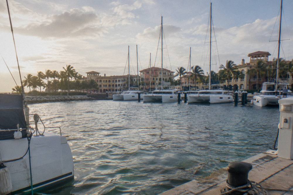 Moored catamarans with masts rising above a calm marina in morning light