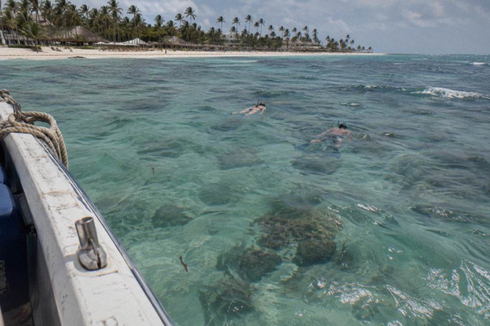 Snorkelers floating over a calm shallow reef in warm Caribbean water