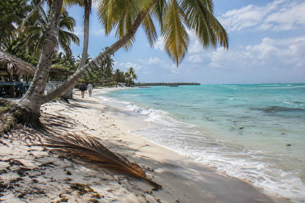 An empty palm-fringed white sand beach with calm turquoise sea under a blue sky