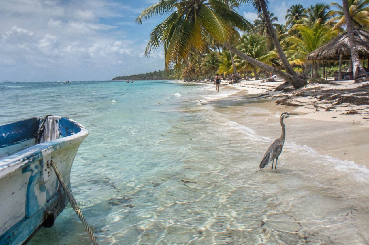 Turquoise shallow water and palm trees along a Caribbean island shoreline