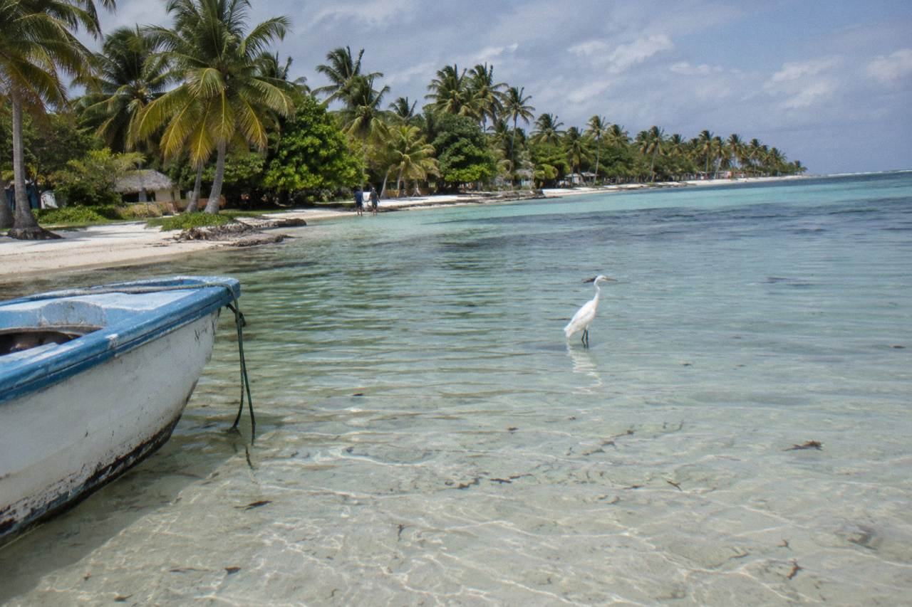 Turquoise shallow water over a sandbank beside a palm-lined tropical beach