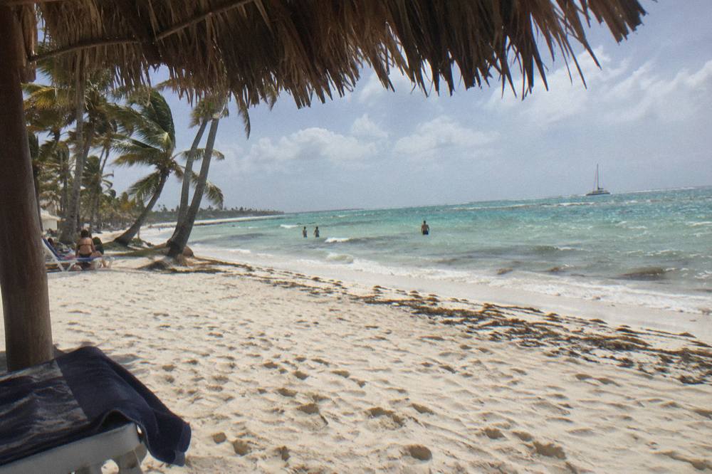 Palm trees leaning over pale sand with clear shallow water and a distant catamaran on the horizon