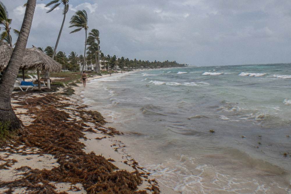 Clear shallow water over a sandy bottom with gentle waves along the shoreline