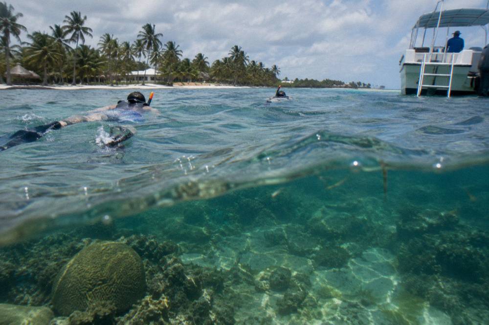 Snorkelers in clear water over a shallow reef with a boat waiting nearby