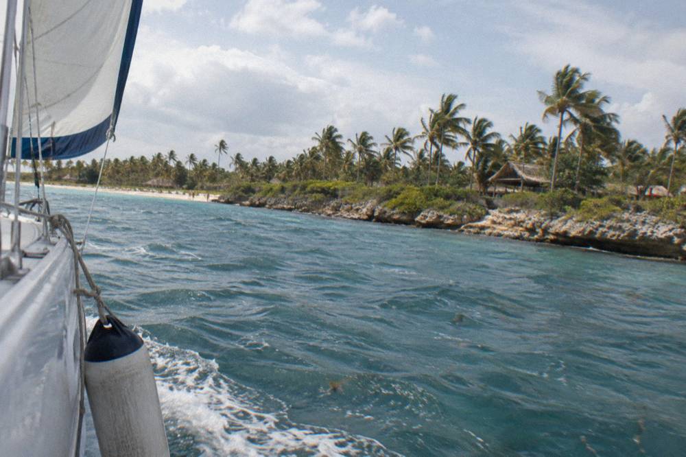 Catamaran underway along the coastline with palm trees visible on shore