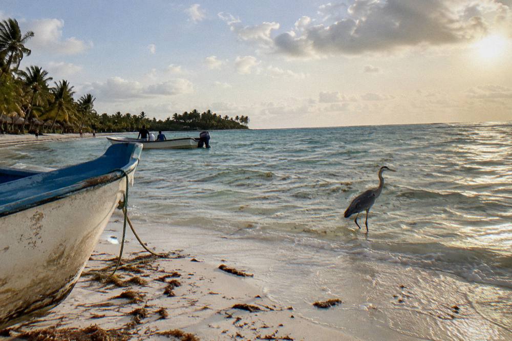 A wide sandbar of pale sand meeting clear shallow sea under an open sky
