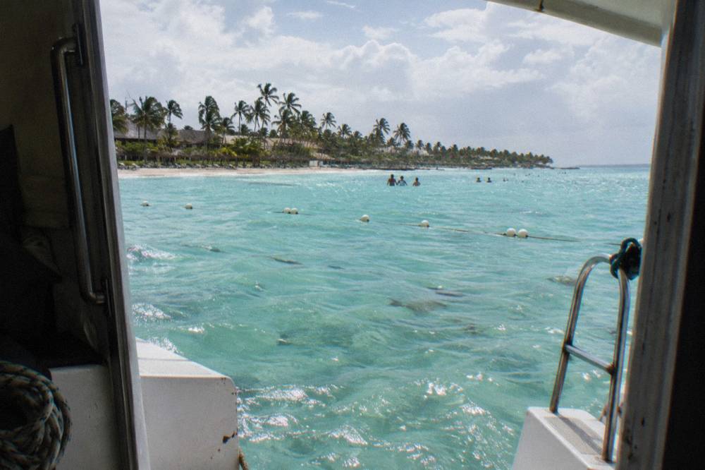 Sea, swimmers and a palm-lined beach visible through a boat's open side door