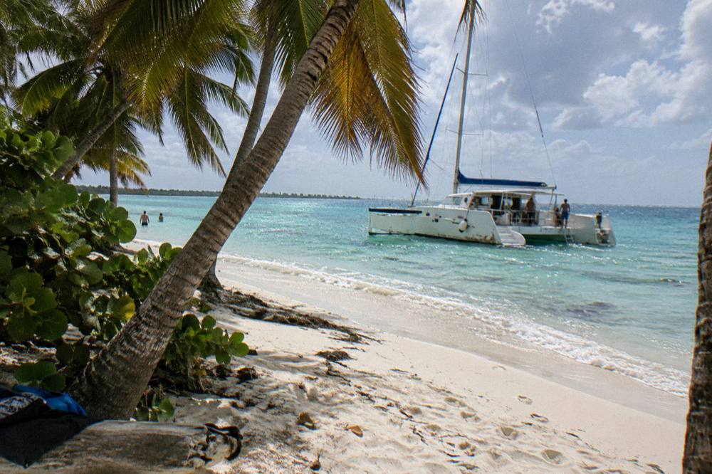 A palm-fringed white sand beach on Saona Island with a catamaran anchored offshore