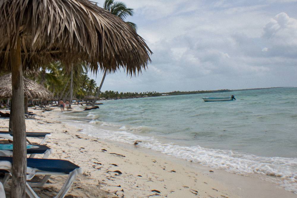A wide palm-lined beach with thatched shade umbrellas and calm water