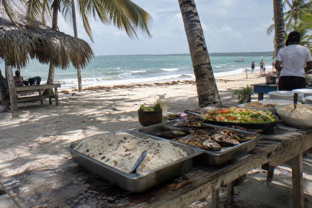 A buffet lunch laid out on a wooden table under palm trees on a Caribbean beach