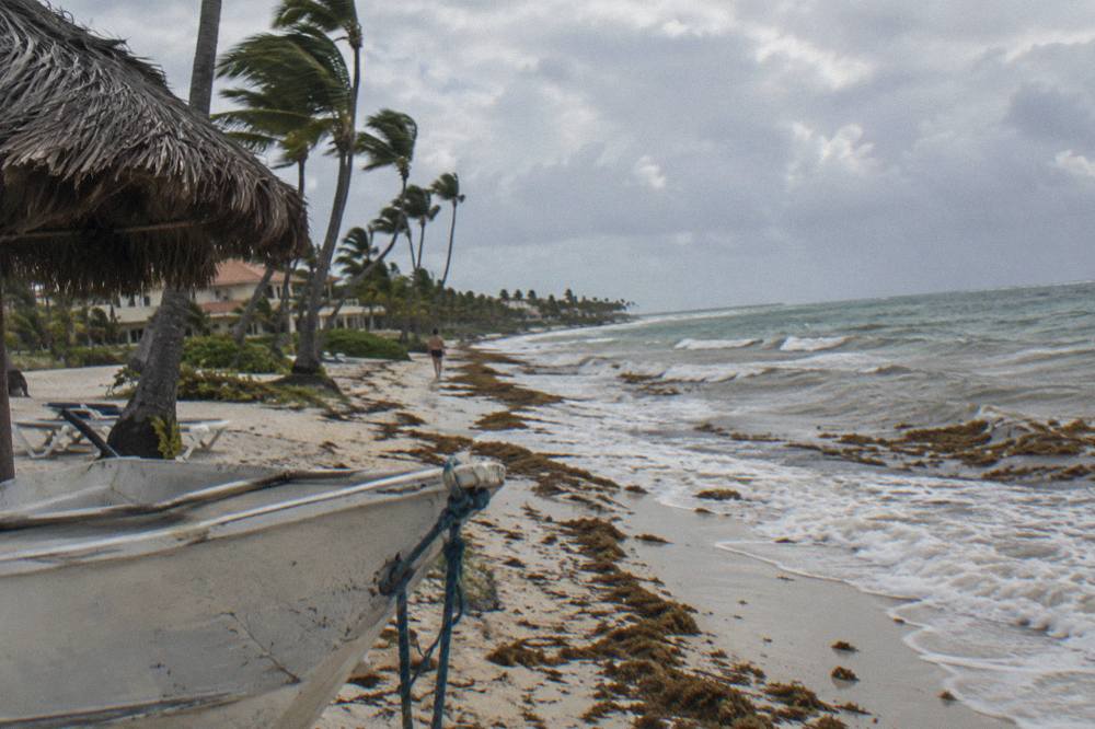 Waves washing onto a Caribbean beach with patches of brown seaweed along the sand