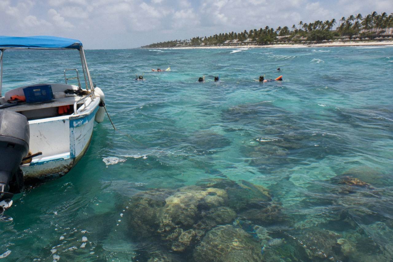 Snorkeler floating over a shallow coral reef in clear turquoise water near Punta Cana