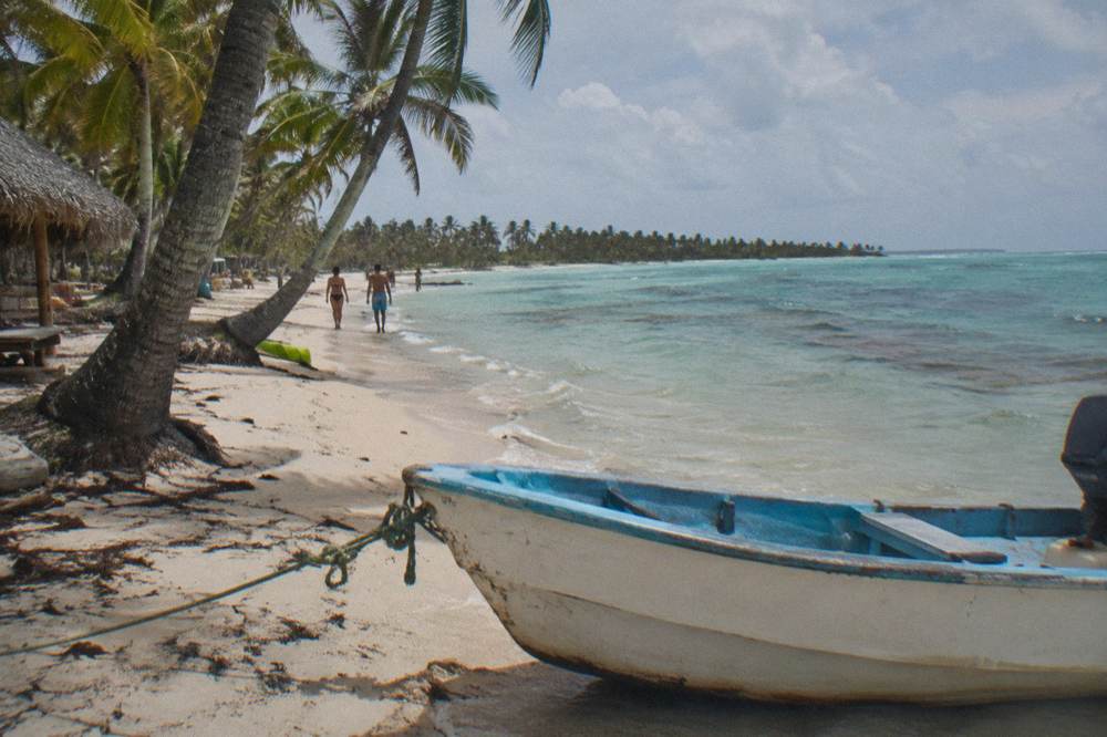 Wide palm-fringed beach with pale sand and calm turquoise shallows