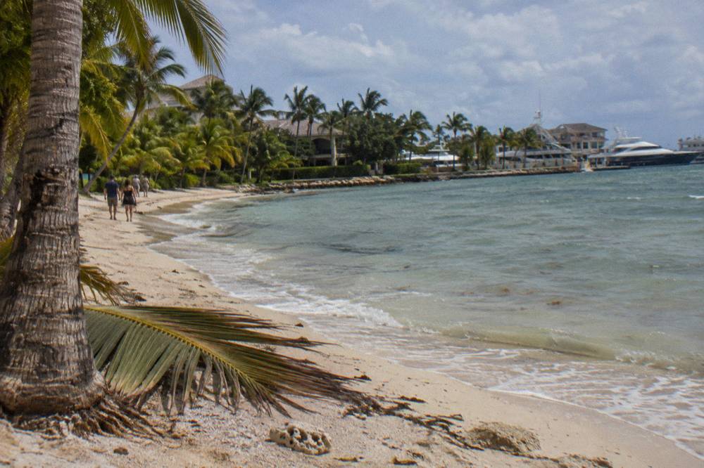Quiet curve of pale sand bordered by dense coconut palms
