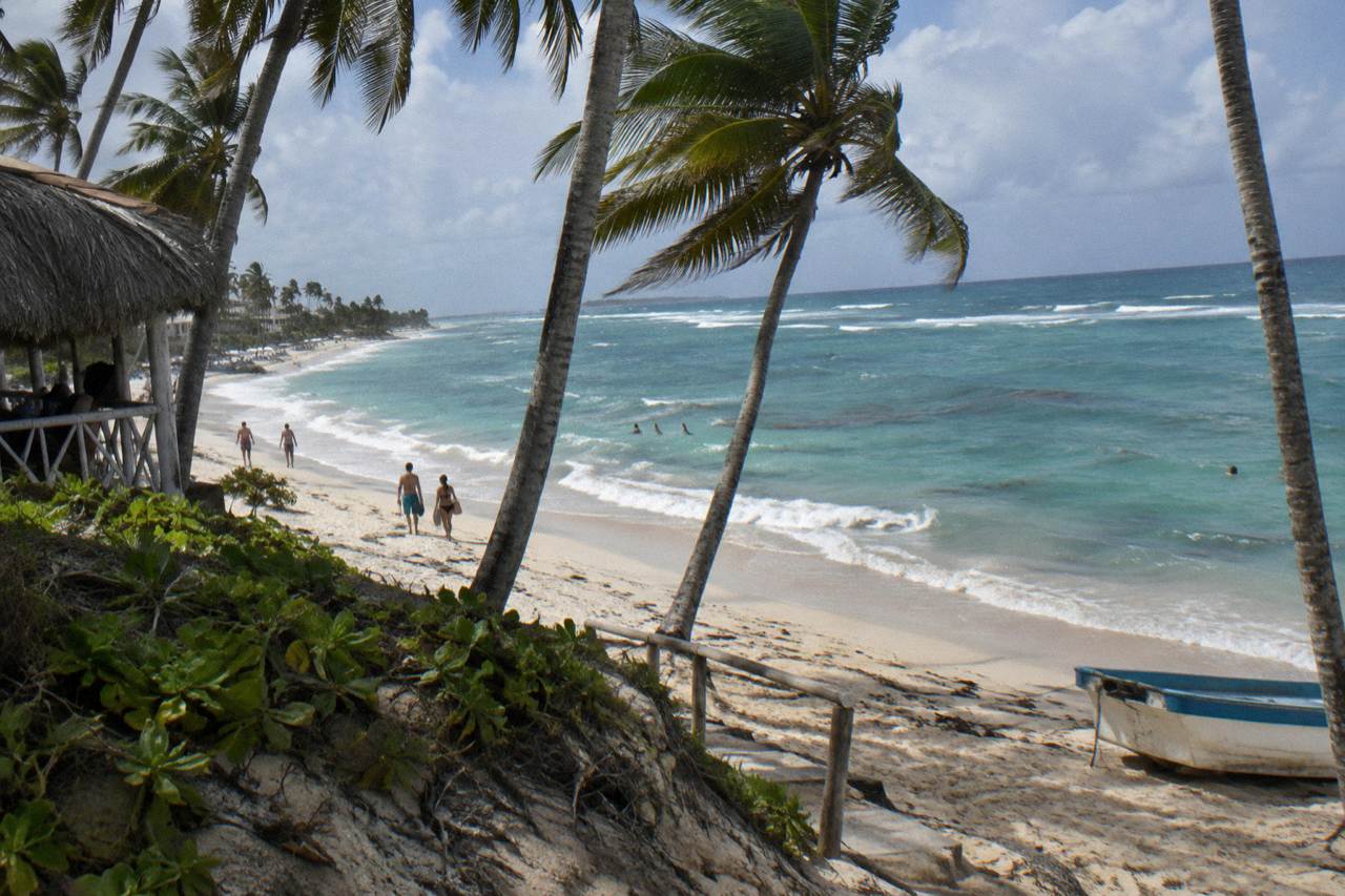 Turquoise shallow water and palm trees along the Bavaro coastline at midday