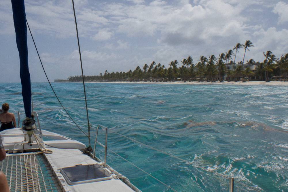 A catamaran cruising on open turquoise water away from a palm-lined shoreline