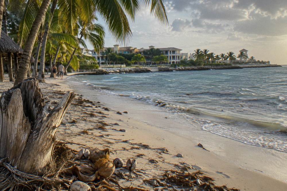 Quiet stretch of palm-lined beach with calm shallow water and no boats in sight