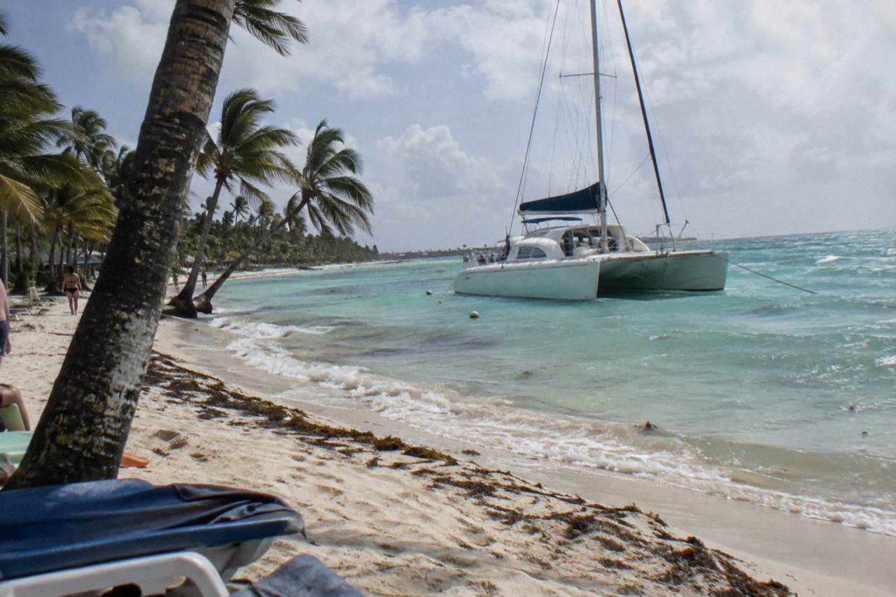 Catamaran moored in shallow turquoise water beside a palm-lined beach at midday